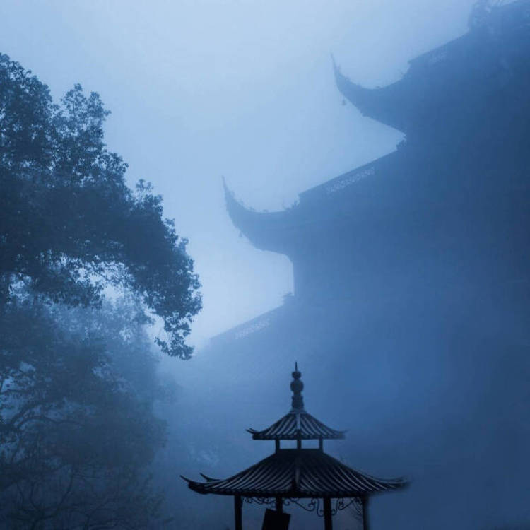 则座诚 - 无广告纯净版在线观看 - 在线影视